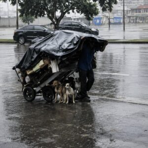 A Man Pulls a Cart of Dogs on the Highway and Finds Community Support
