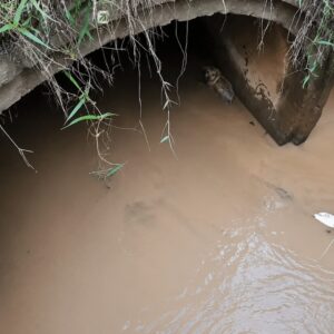 Farmer's Quick Action Saves Puppy Trapped for Two Days in a Drain