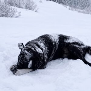 Rescue of Jem Reveals His Hidden Strength and New Life