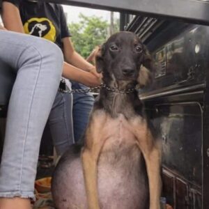 Max Overcomes Serious Health Issues After Emergency Care and Support