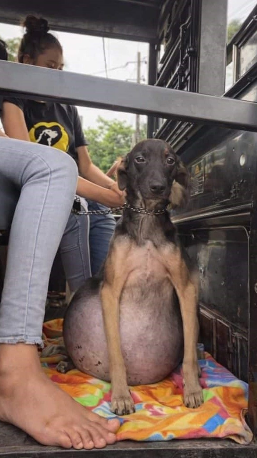 Max Overcomes Serious Health Issues After Emergency Care and Support