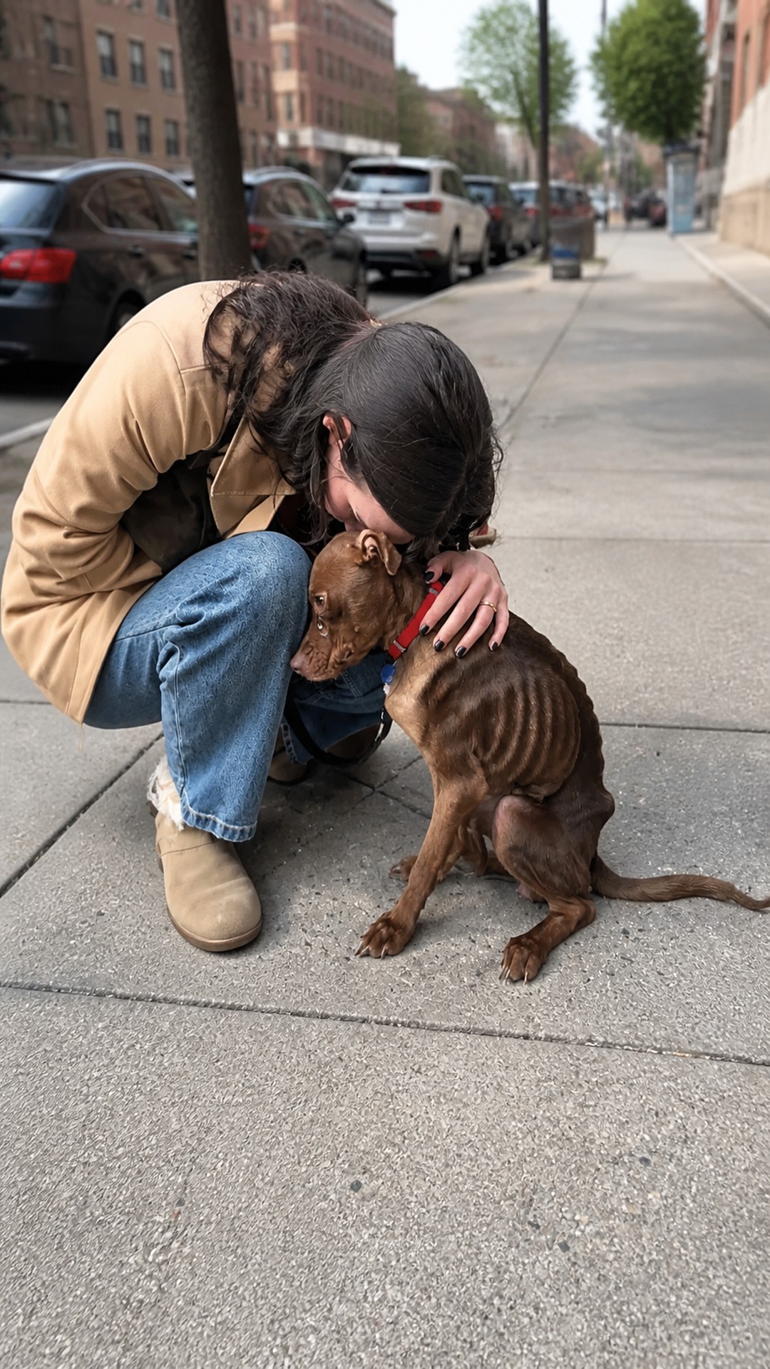 Whimsy Gains 6 Pounds in Two Weeks as She Learns to Trust Again