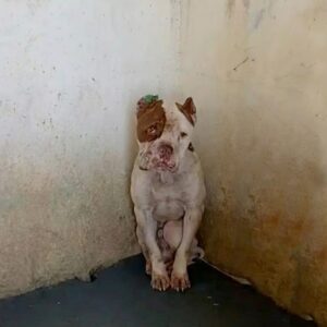 Rescue Team Finds Ozgur Living in Isolation and Longing for Care