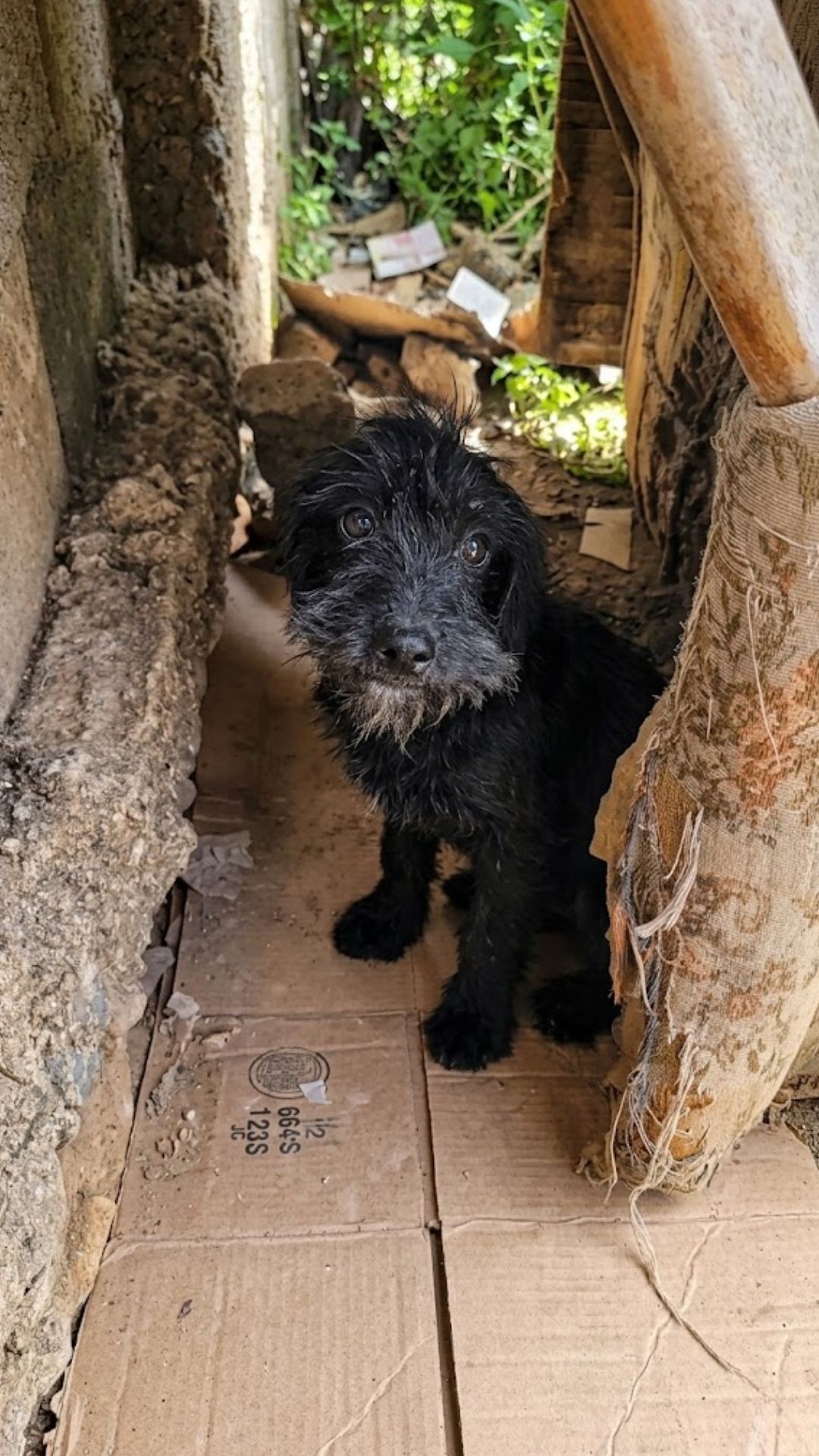 From Chained Isolation to Confident Freedom: Max's Journey