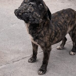 Ares Discovers Joy After Overcoming a Long Struggle to Eat and Live