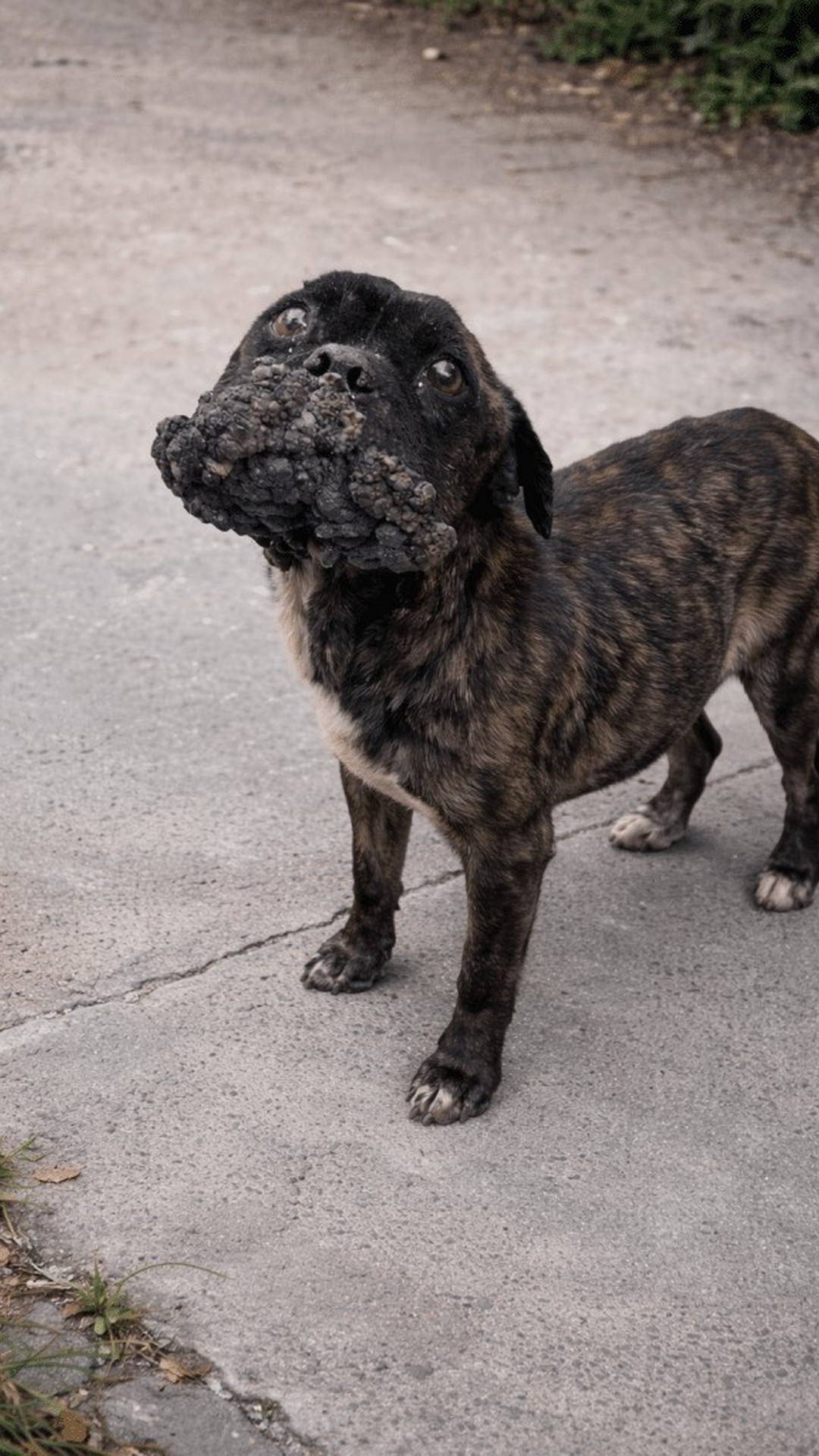 Ares Discovers Joy After Overcoming a Long Struggle to Eat and Live
