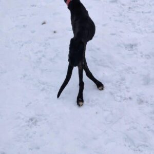 Jem Stands and Walks Again After a Severe Spinal Injury