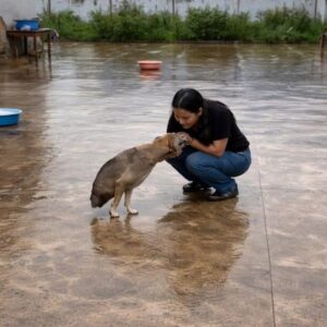 Two-Legged Dog Thrives and Inspires Over Time