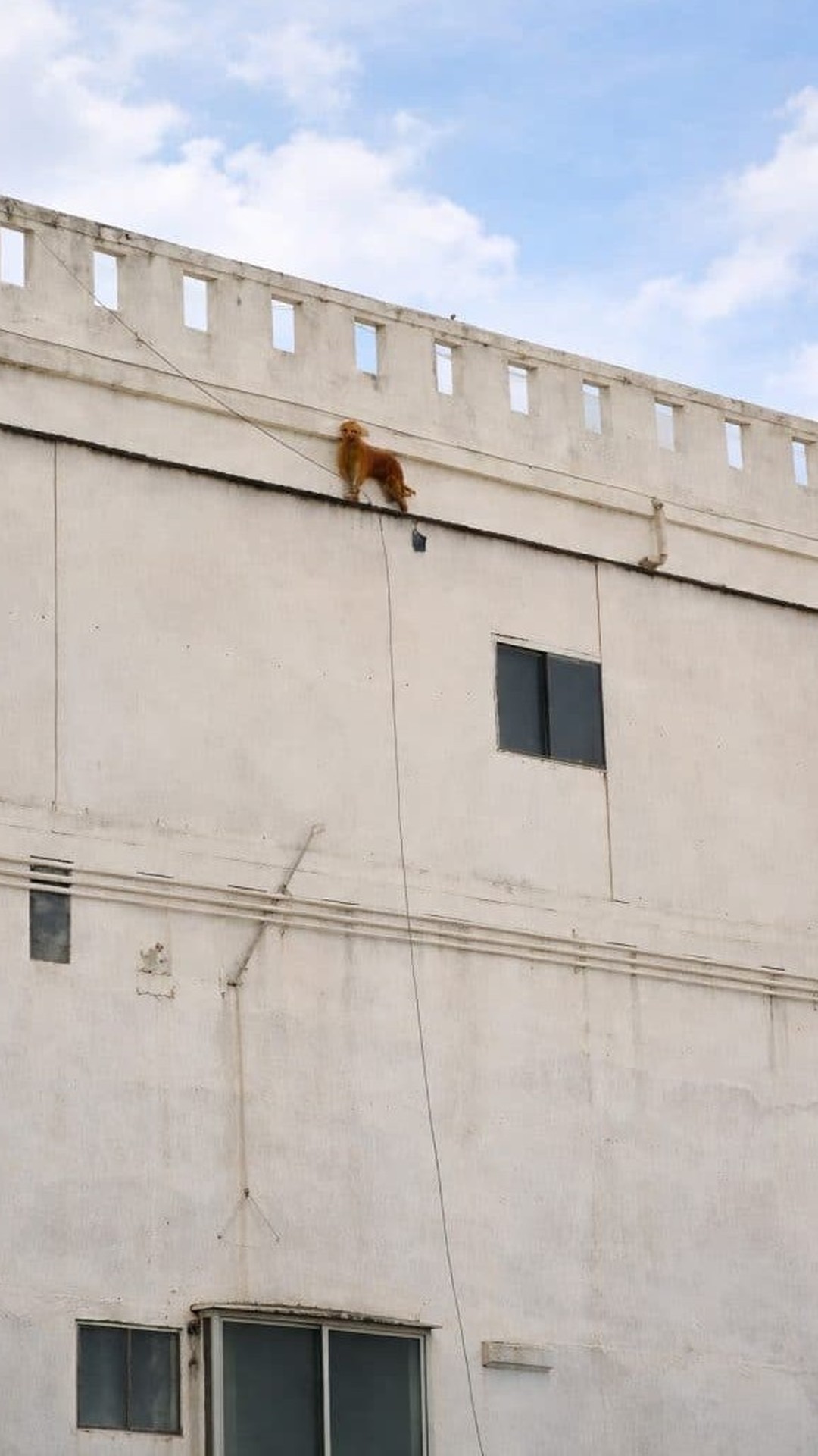 Luke's Brave Climb to Safety After a Devastating Fire