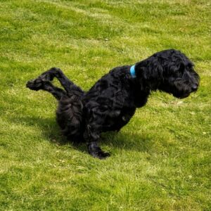 Rupert's Fight: From Death's Door to the Path of Recovery