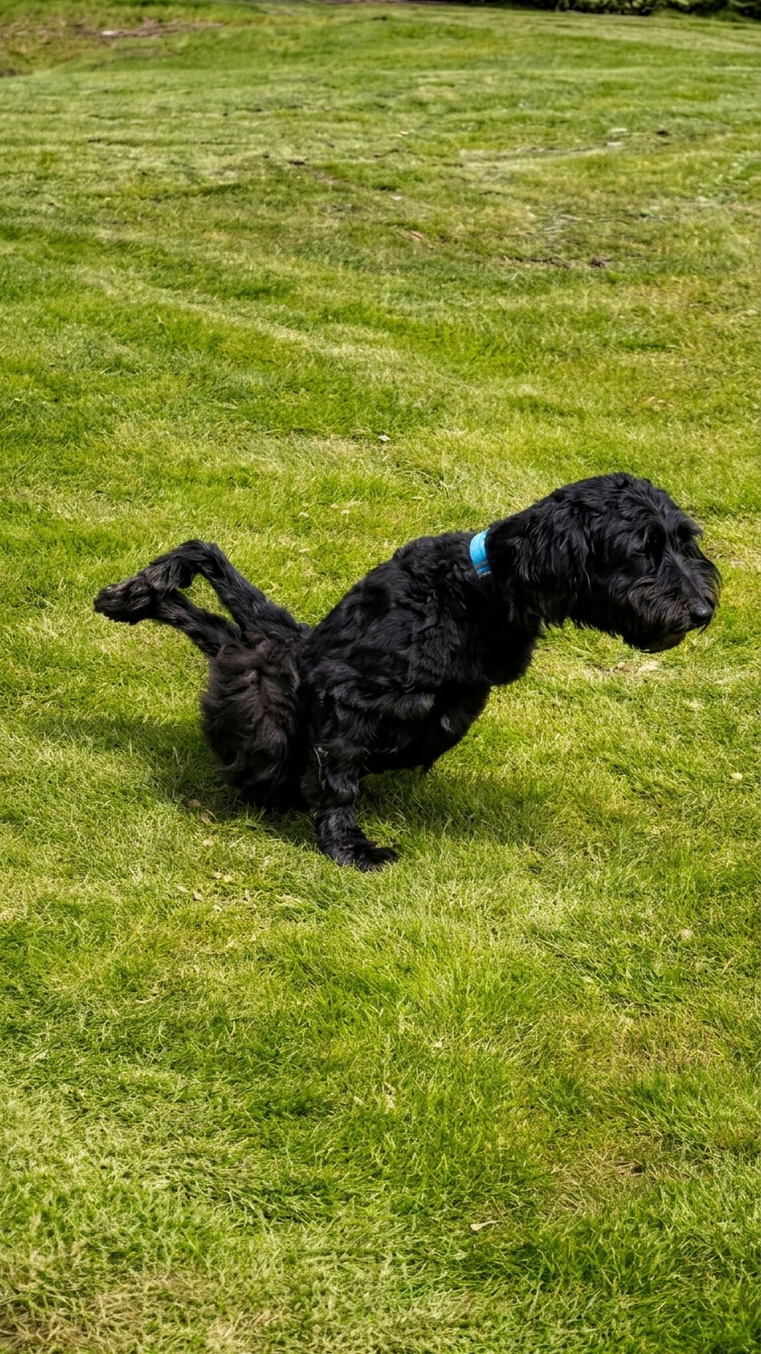 Rupert's Fight: From Death's Door to the Path of Recovery