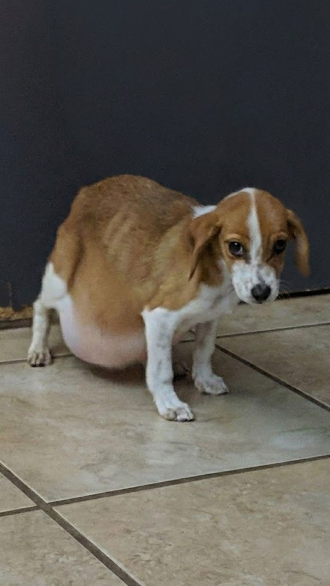 Tiny Clarice's Distressing Condition and Final Gift of Love