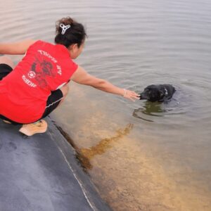 Black Dog Rescued from Reservoir After Struggling Against Concrete Wall