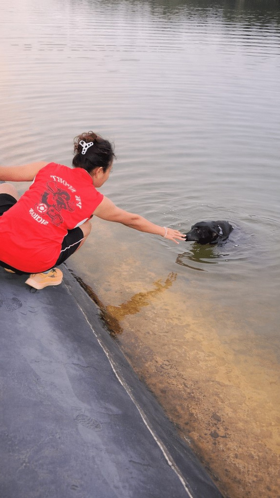 Black Dog Rescued from Reservoir After Struggling Against Concrete Wall