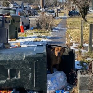 Oscar's Journey: From Overturned Trash Bin to New Beginnings