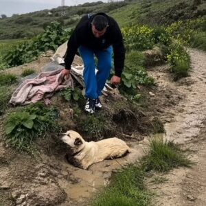 Rescued Dog Overcomes Fear After Being Pulled from Mud