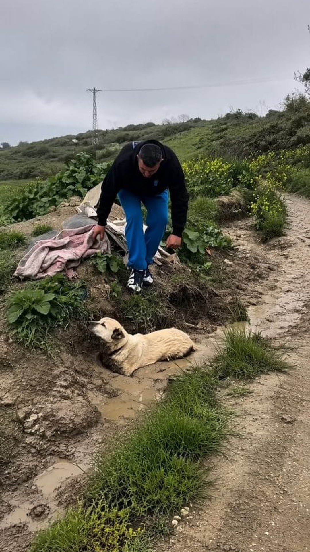 Rescued Dog Overcomes Fear After Being Pulled from Mud