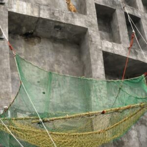 Stray Dog's Heart-Pounding Rescue from a Dangerous Ledge