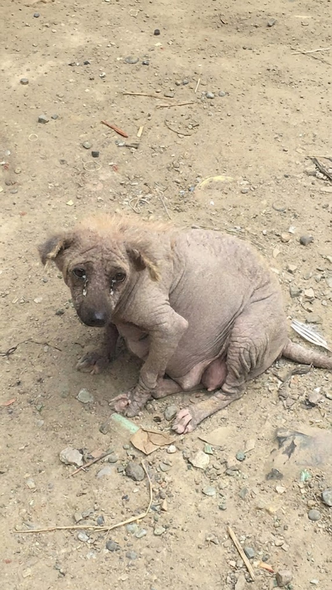 From Toxic Sludge to Nurturing Mother: Carmi's Transformation