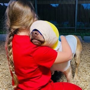 From Abandonment with a Cord Around His Neck to the Animal Heroes Hall of Fame