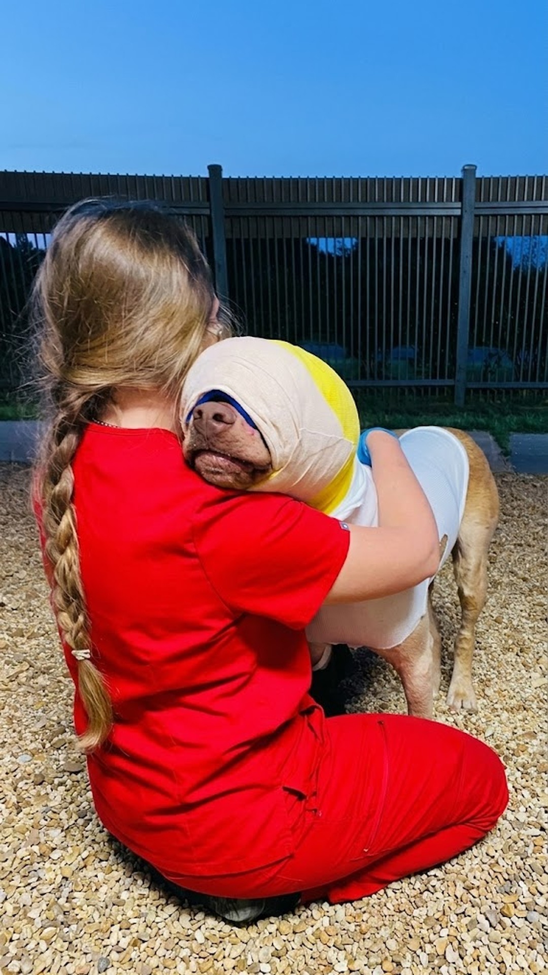 From Abandonment with a Cord Around His Neck to the Animal Heroes Hall of Fame