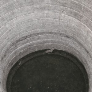Rescuers Save Stray Dog from 70-Foot Well in Rural Village