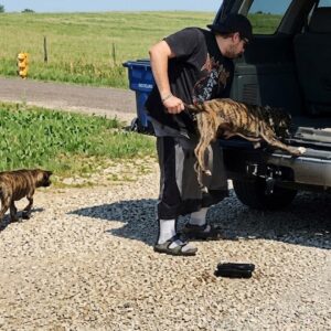 Security Camera Sees Man Abandon Three Puppies on Rural Road
