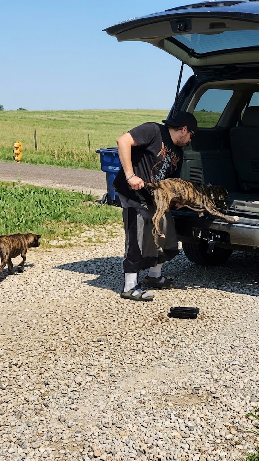 Security Camera Sees Man Abandon Three Puppies on Rural Road