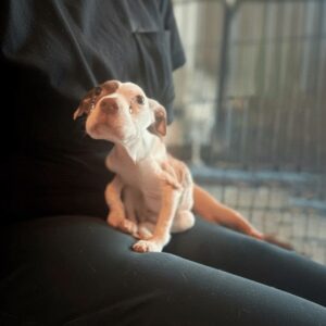 Tink's Struggle Transforms into a Joyful New Life