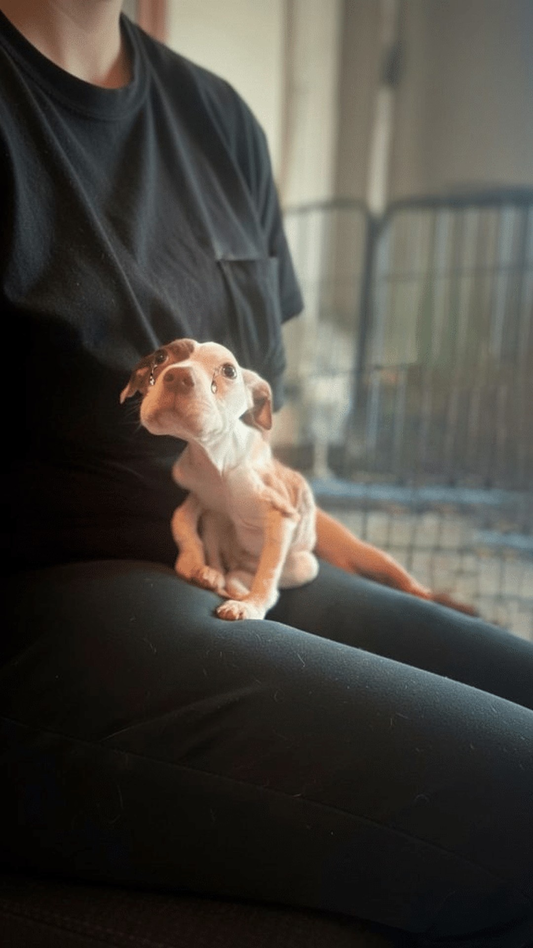Tink's Struggle Transforms into a Joyful New Life