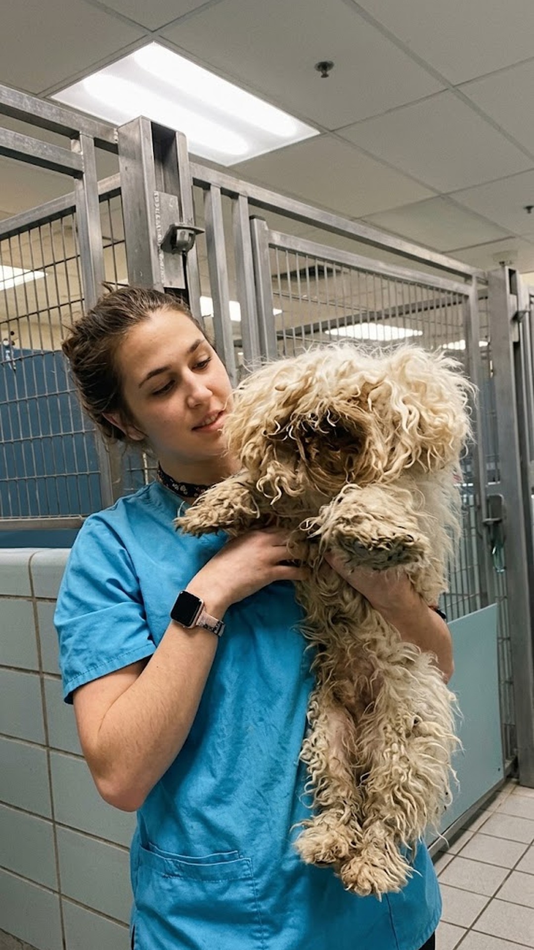Cody’s Remarkable Recovery: From Two Years of Isolation to a Loving Home