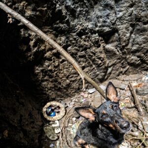 From Despair in Darkness to Safety: Ruby's Rescue from a Deep Well