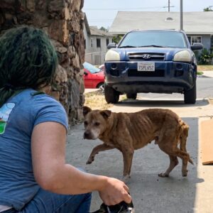 Stewie's Remarkable Recovery After a Year of Isolation and Starvation