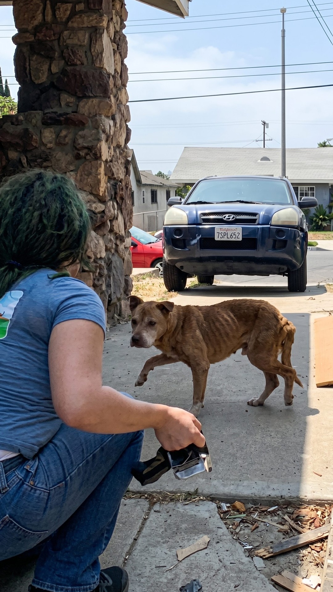 Stewie's Remarkable Recovery After a Year of Isolation and Starvation