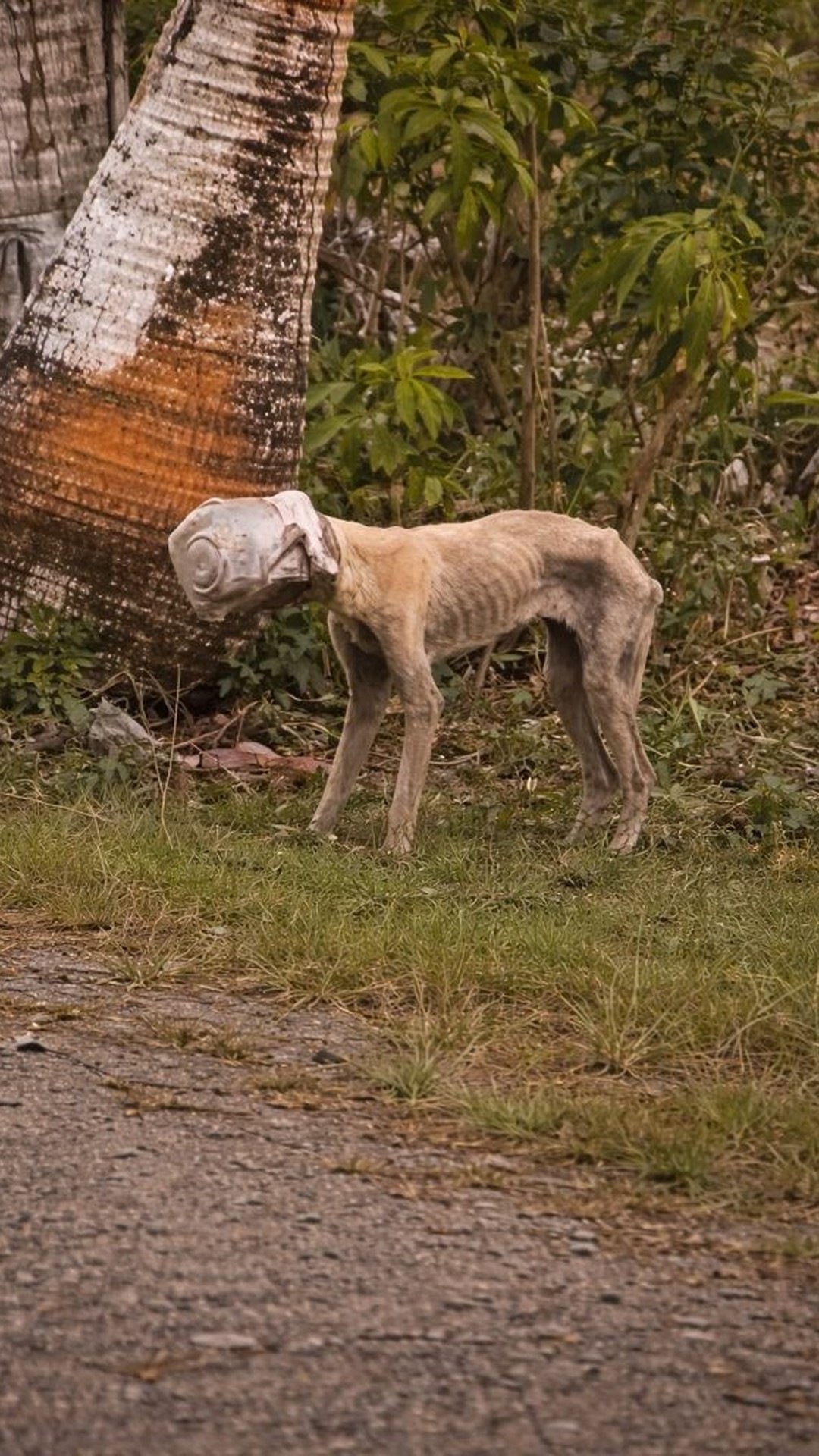 From Silent Suffering to Full-Body Wiggle: Winnie’s Journey
