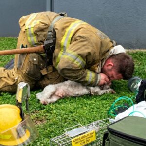 Firefighter Rescues Lifeless Dog from Burning Apartment in Santa Monica