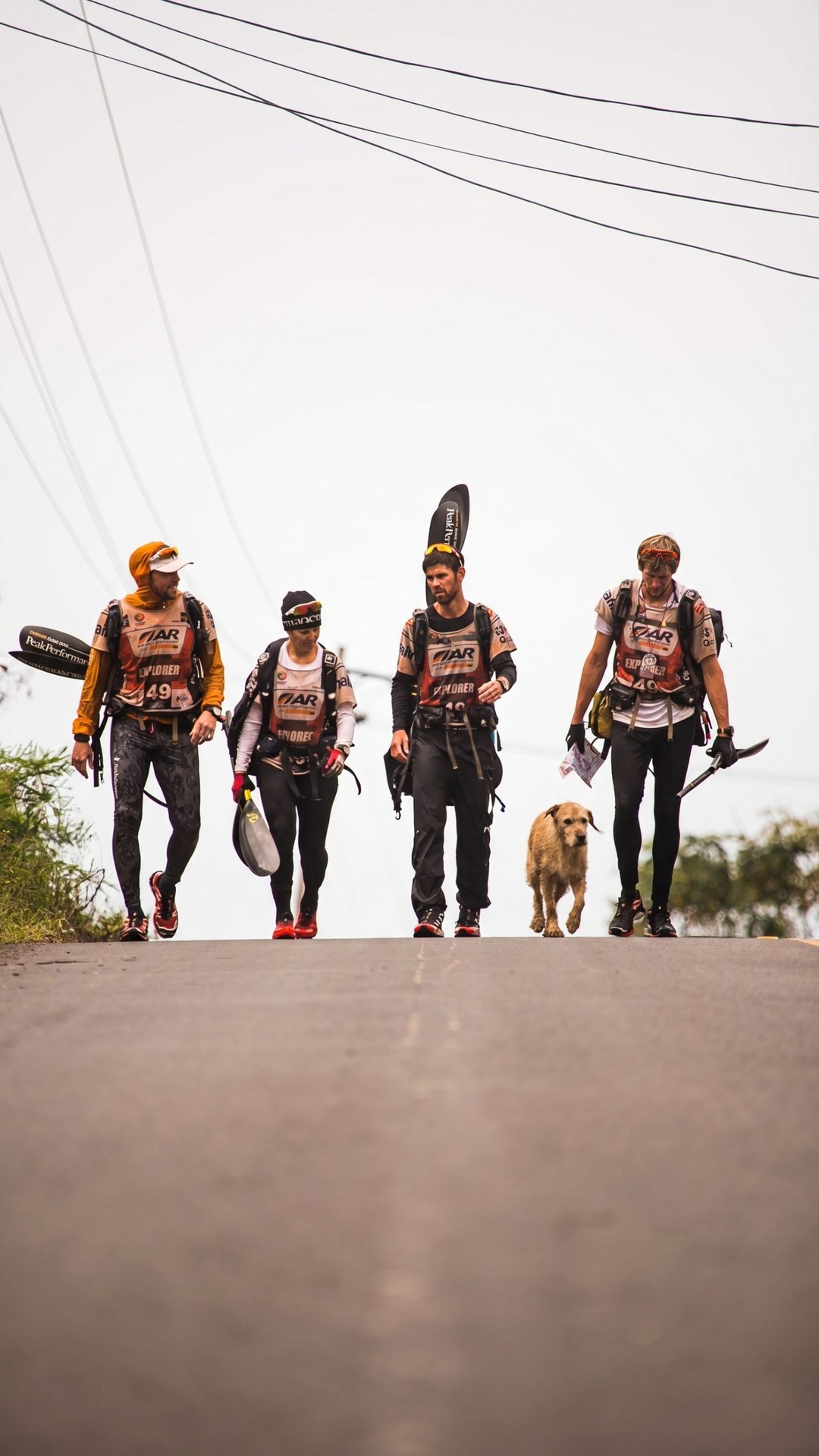 Stray Dog Joins Elite Athletes on a 430-Mile Racing Adventure