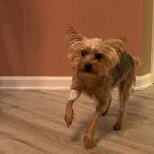 Starla's Steady Recovery After Bravery During Home Invasion