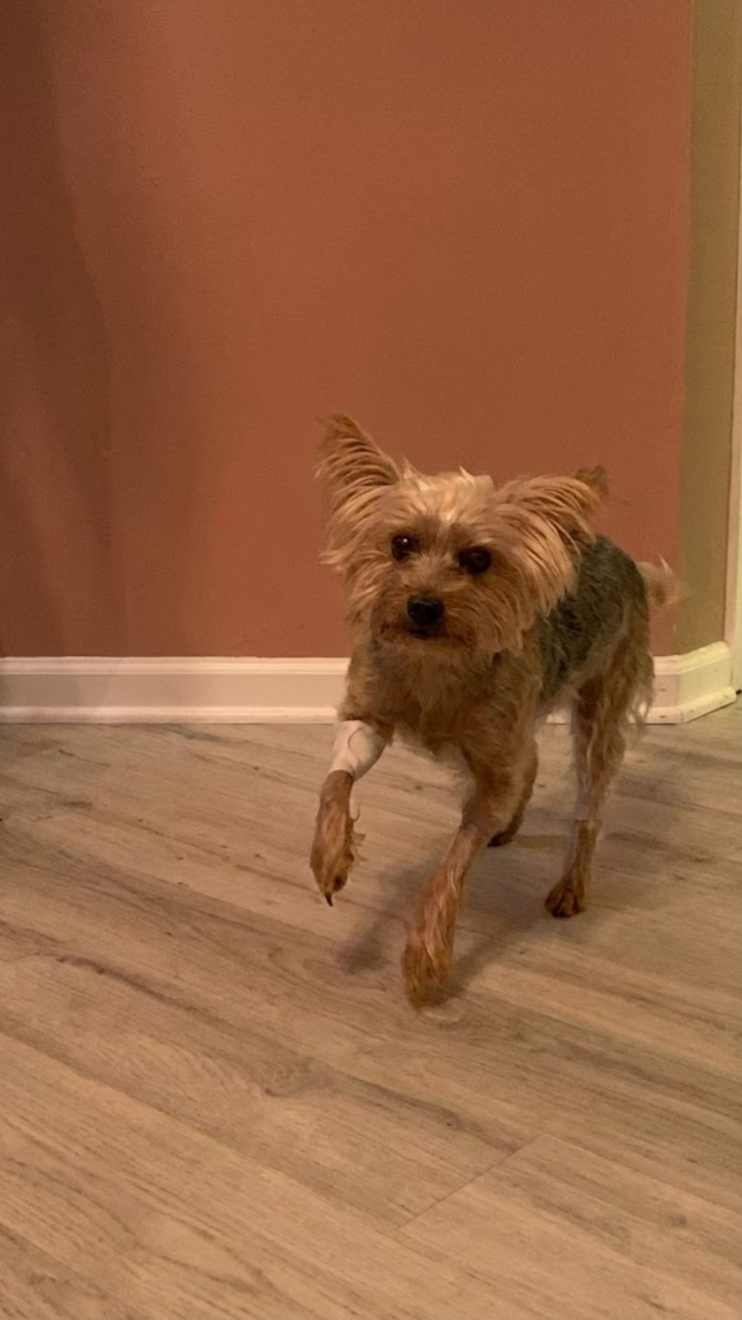 Starla's Steady Recovery After Bravery During Home Invasion
