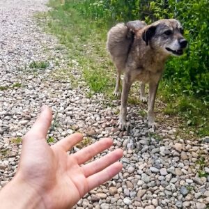 Bunica's Remarkable Recovery After Surgery for a 13-Pound Tumor