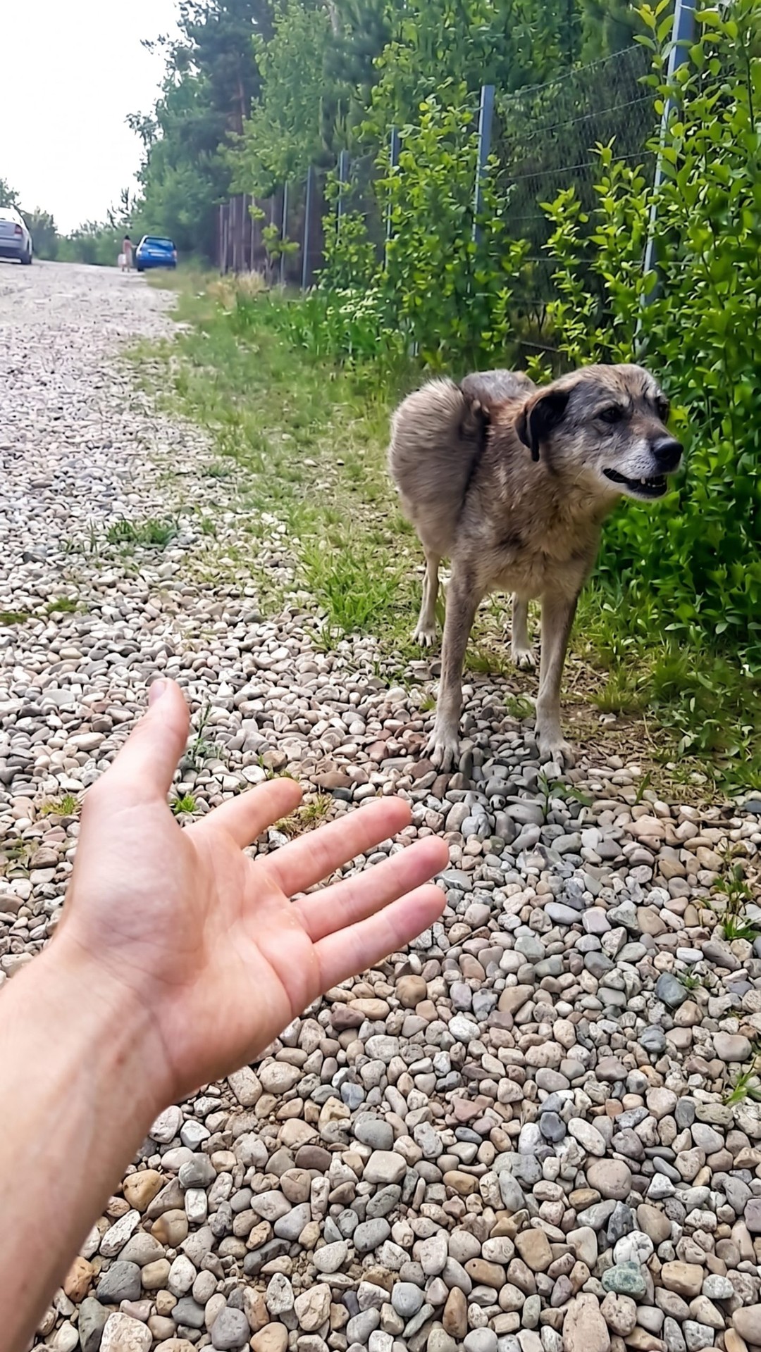 Bunica's Remarkable Recovery After Surgery for a 13-Pound Tumor