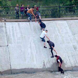 Strangers Form Human Chain to Rescue Drowning Dog in Kazakhstan