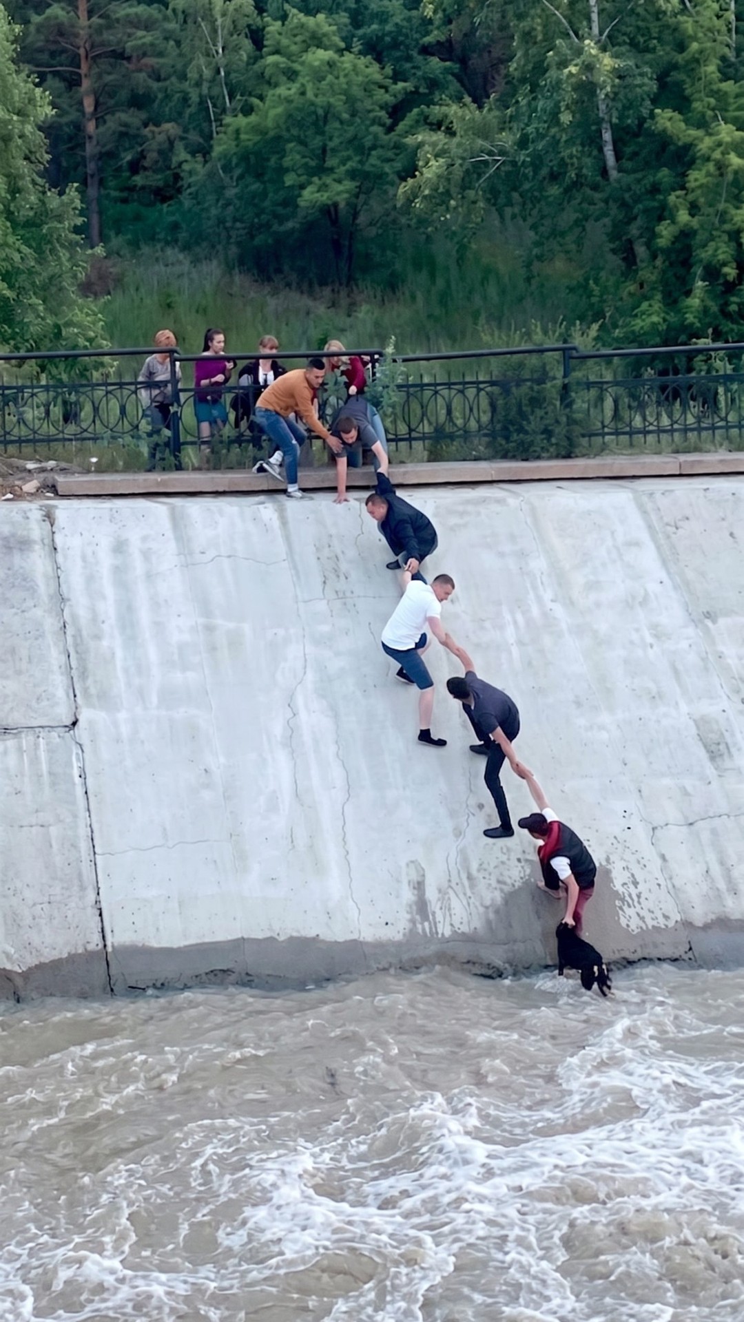 Strangers Form Human Chain to Rescue Drowning Dog in Kazakhstan