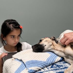 Angel's Remarkable Recovery: From Near-Death to a Loving Home