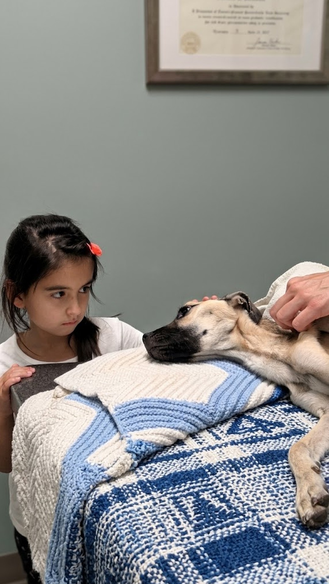 Angel's Remarkable Recovery: From Near-Death to a Loving Home