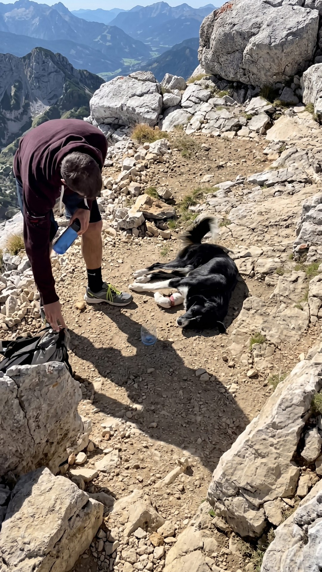 Rescuers Save Bobo: A Three-Legged Dog's Inspiring Journey After Amputation