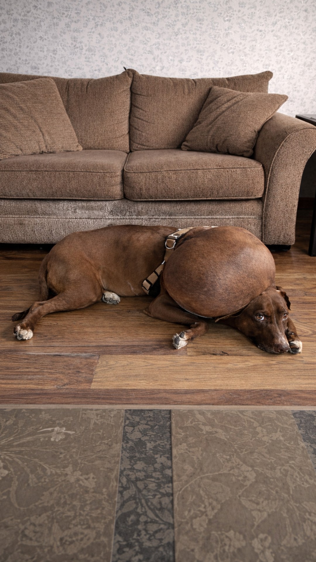 After Years of Suffering, Athena Finally Finds Relief from a Massive Tumor