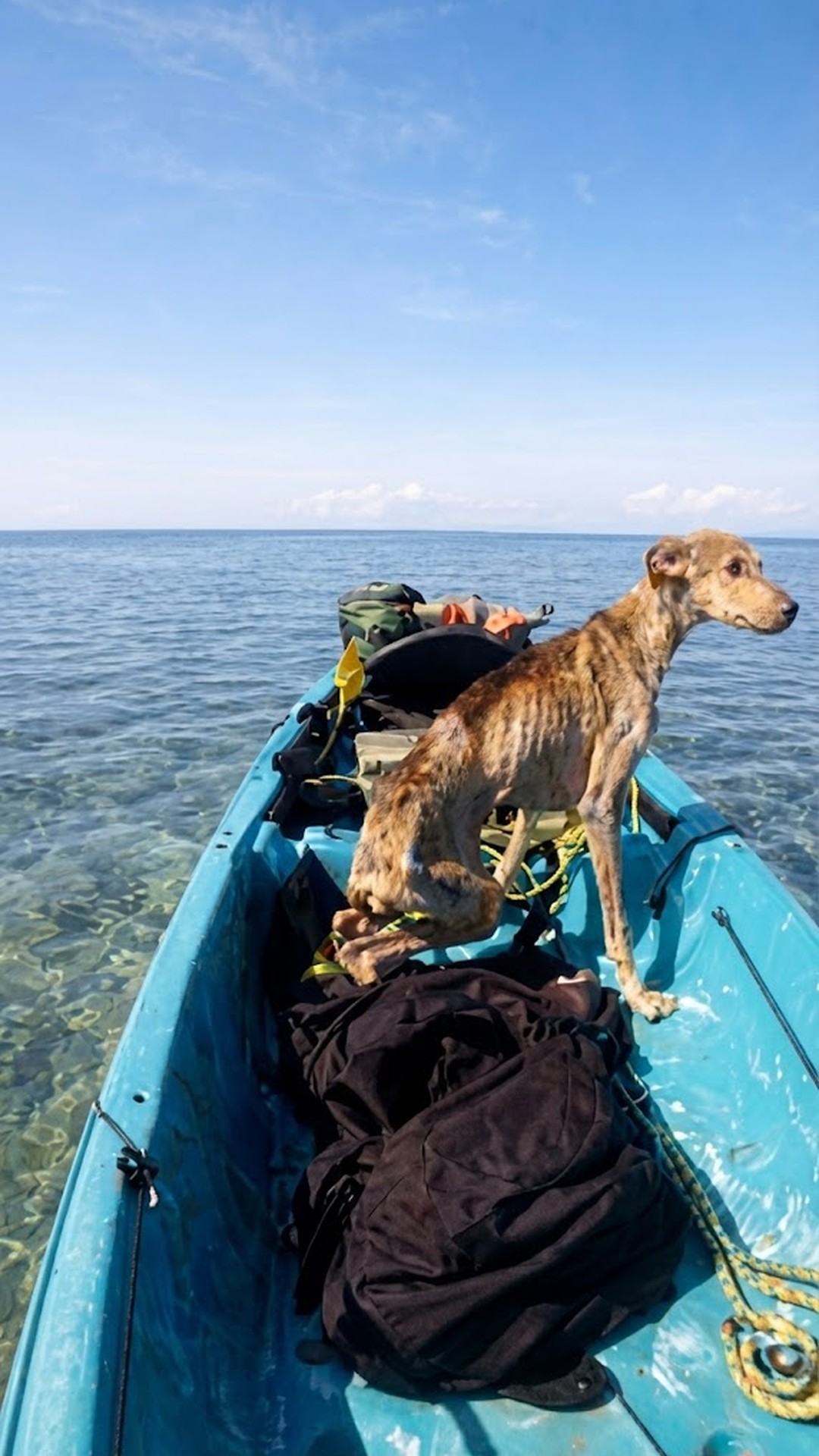 Winston's Dramatic Rescue from a Remote Island Off Belize