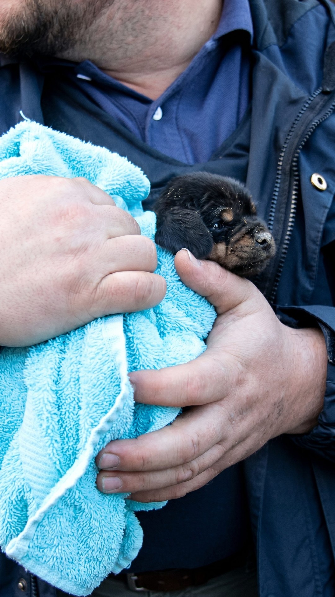 Community Rallies to Rescue Trapped Puppy from Underground Drain Pipe