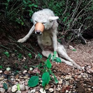 Angel Stands for the First Time After Overcoming Unimaginable Trauma